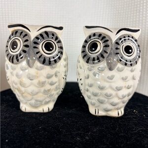 Ceramic Owl salt and pepper shakers in Black and White